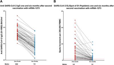 Frontiers GNB3 C 825c T Polymorphism Influences T Cell But Not